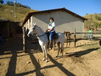 FORADALEI MPI - CASTRADO - 